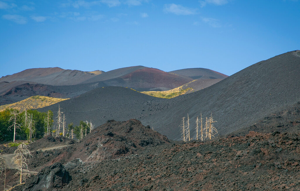 Ferienhaeuser - Catania , Italien - ISC544 43