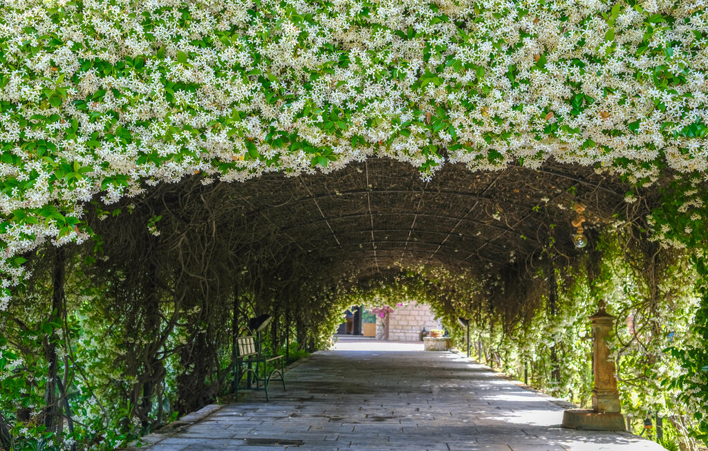 Location de vacances - Noto , Italie - ISC556 8