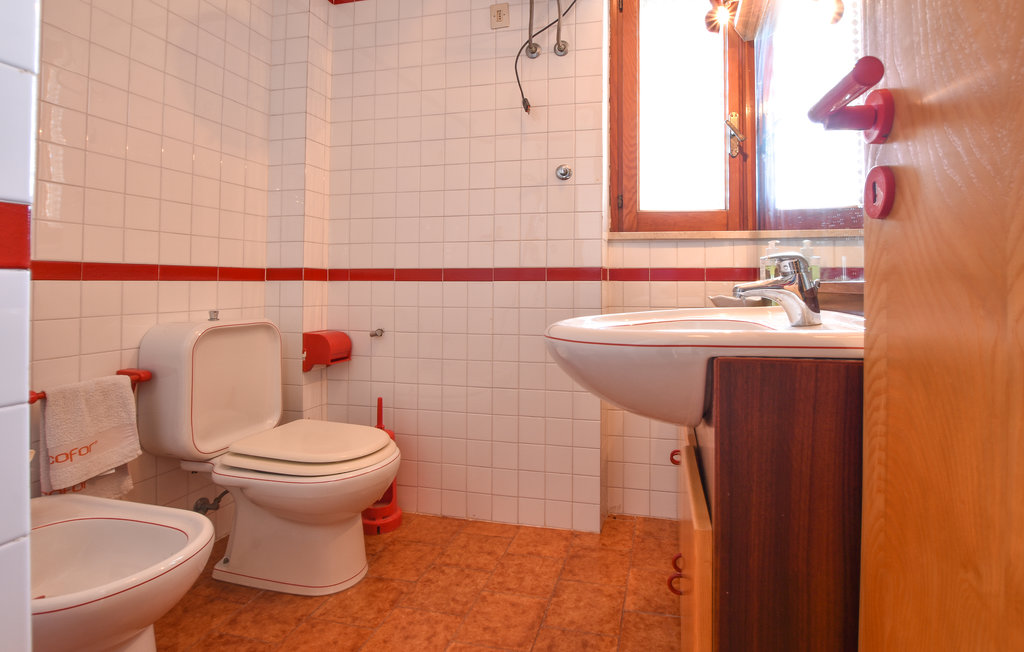 Bild 19