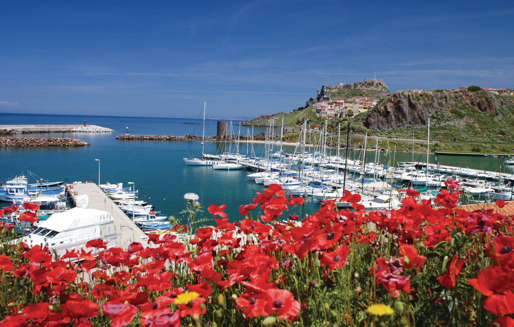Ferieleilighet - Badesi , Italia - ISD263 20