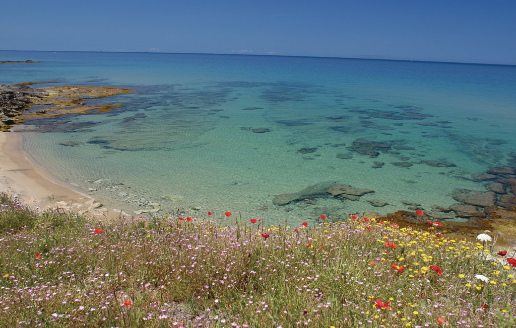 Ferieleilighet - Castelsardo , Italia - ISD460 23