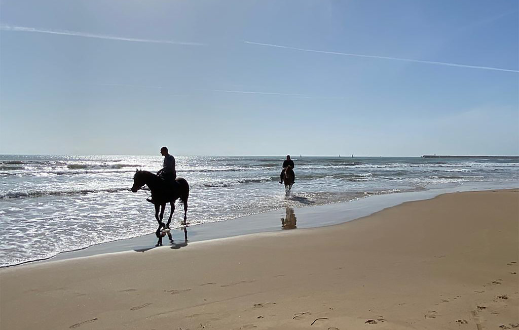 Feriehuse - Torrenova , Italien - ISP274 6