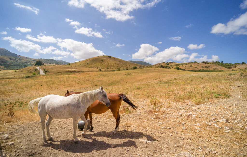 Ferienhaeuser - Palazzo Adriano , Italien - ISP419 29