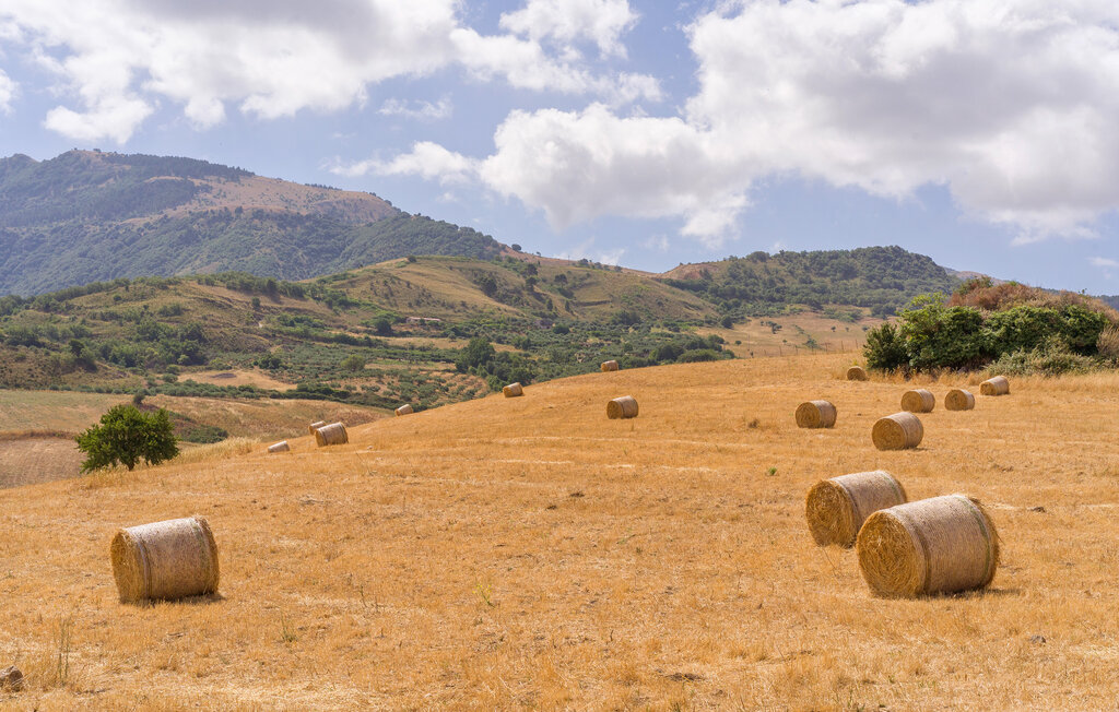 Ferienhaeuser - Palazzo Adriano , Italien - ISP419 36