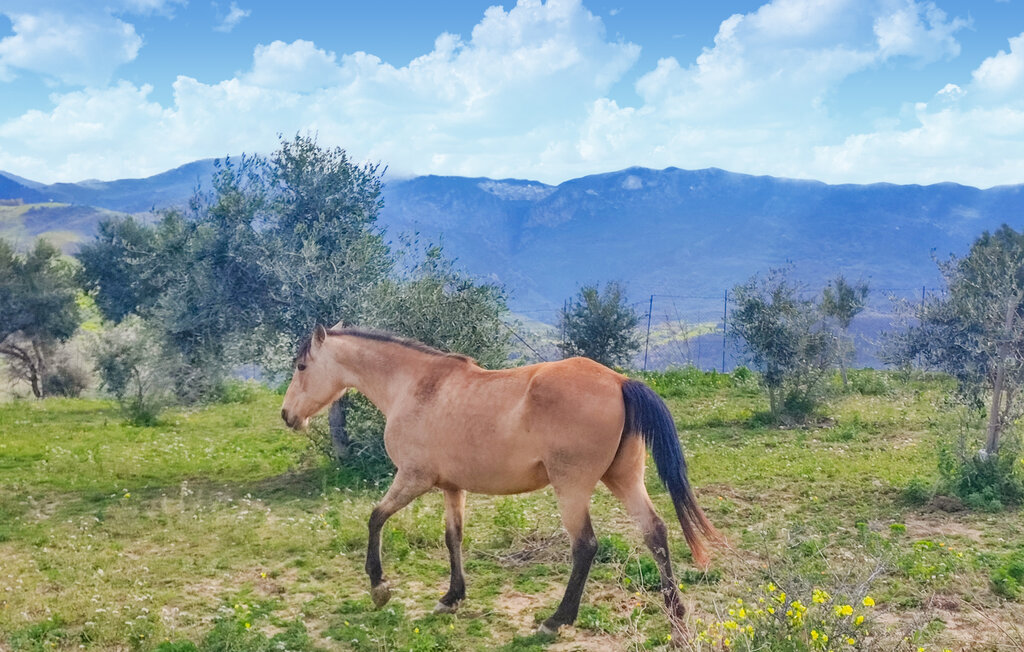 Ferieleilighet - Cefalu' , Italia - ISP450 30