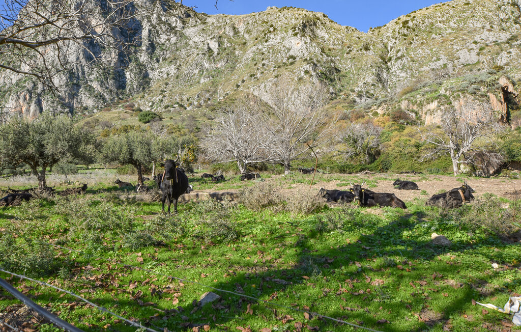 Feriehuse - San Giuseppe Jato , Italien - ISP349 31