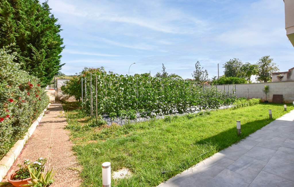 Ferienwohnung - Trappeto , Italien - ISP350 7