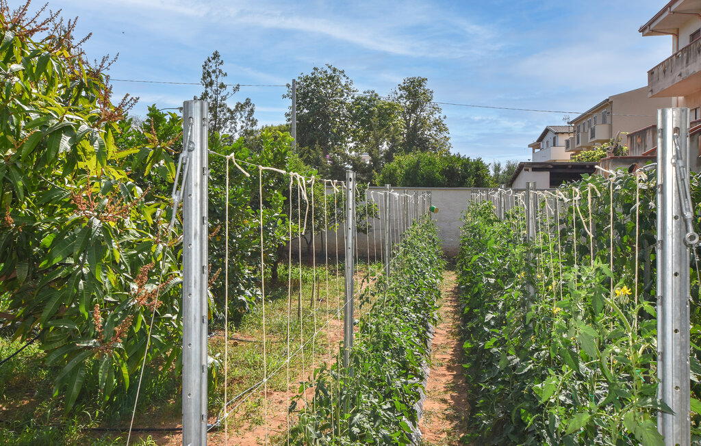 Ferienwohnung - Trappeto , Italien - ISP352 7