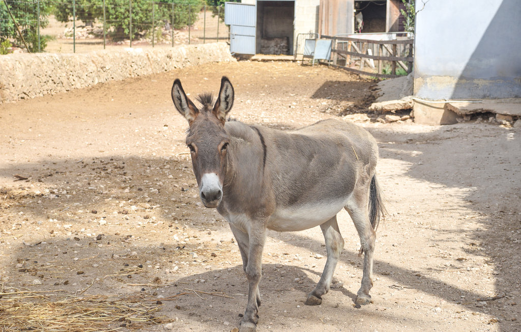 Ferienhaus - Pozzallo , Italien - ISR548 23