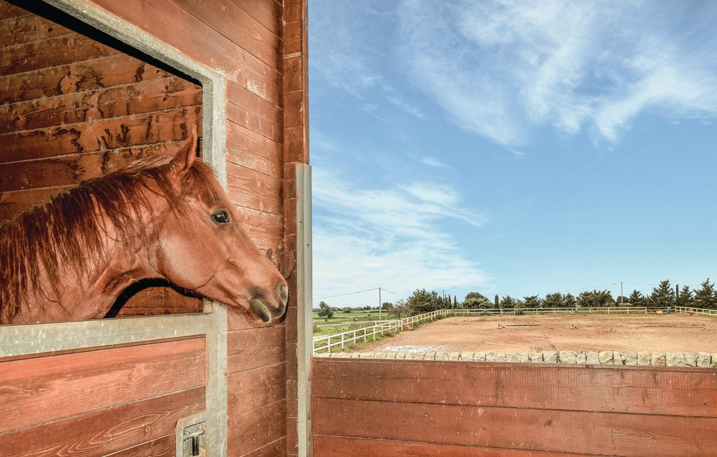 Location de vacances - Ragusa , Italie - ISR169 30