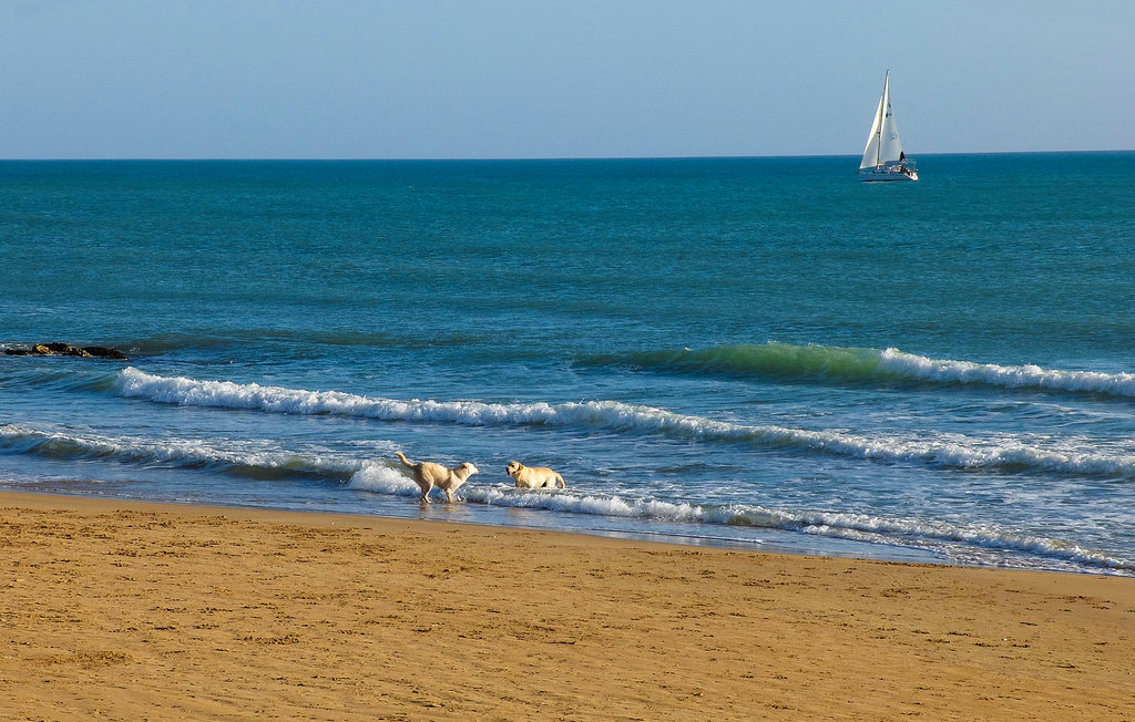 Ferienwohnung - Marina di Ragusa , Italien - ISR604 26