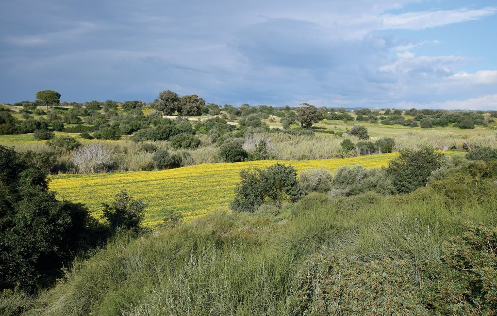 Feriehus - Ragusa , Italia - ISR125 22