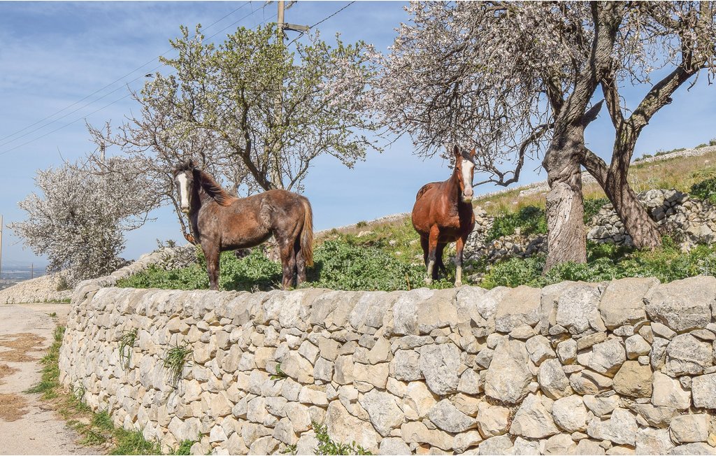 Ferienhaus - Chiaramonte Gulfi , Italien - ISR209 44