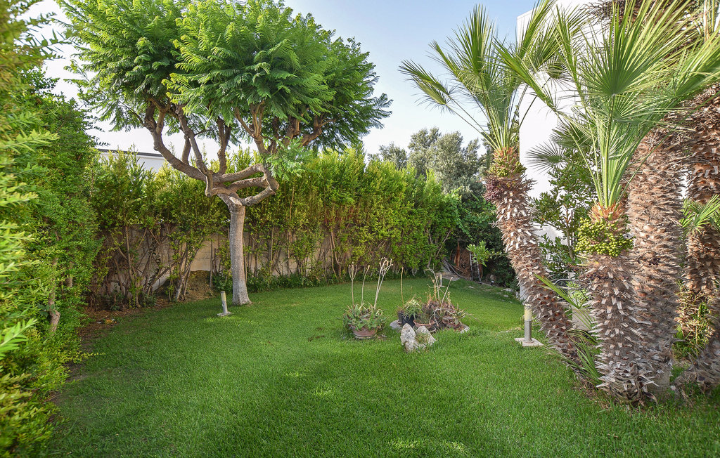 Semesterlägenhet - Caucana , Italien - ISR401 10