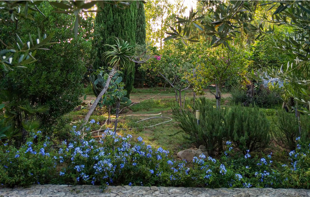 Feriehus - Menfi , Italia - ISR110 13