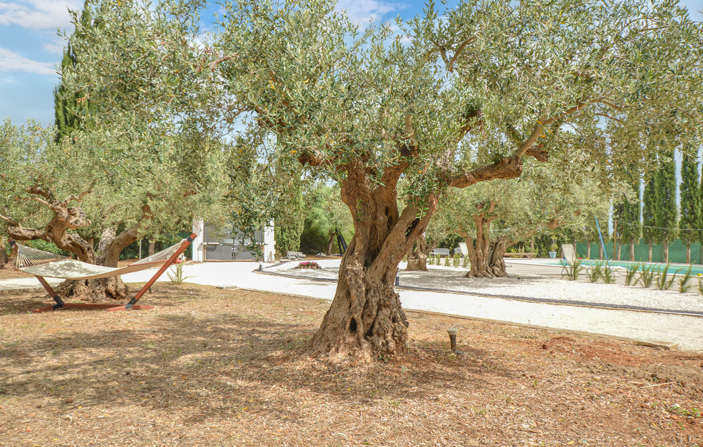 Ferienhaus - Menfi , Italien - ISR653 26