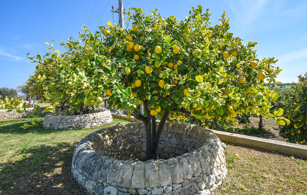 Ferienhaus - Ispica , Italien - ISR698 20