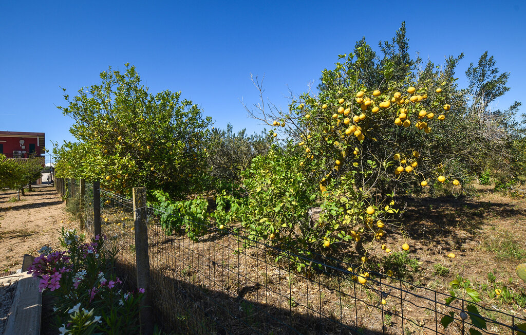 Feriehuse - Marza , Italien - ISR760 22