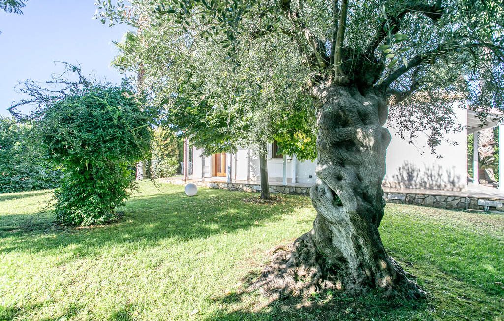 Ferienhaeuser - Modica , Italien - ISR700 8