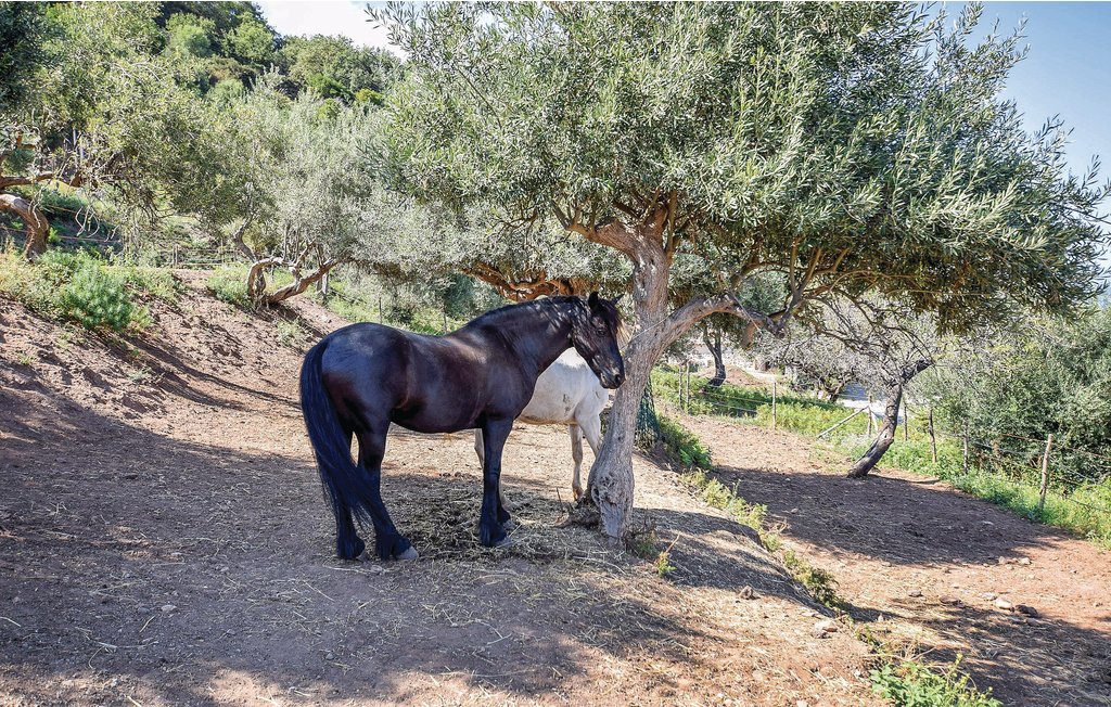 Ferieleilighet - Gioiosa Marea , Italia - ISS510 20