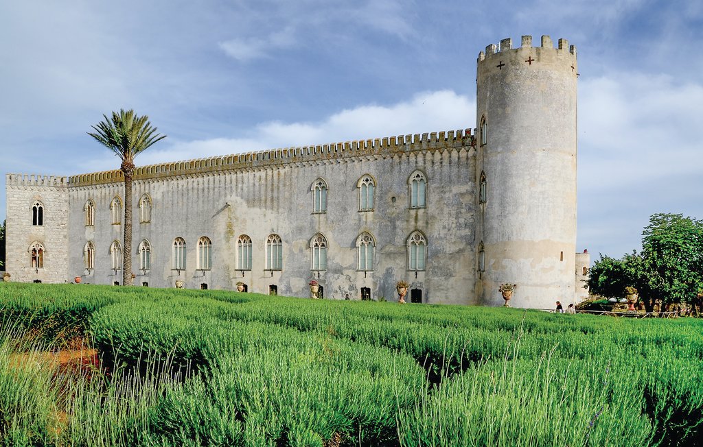 Ferienwohnung - Punta Braccetto , Italien - ISS666 15