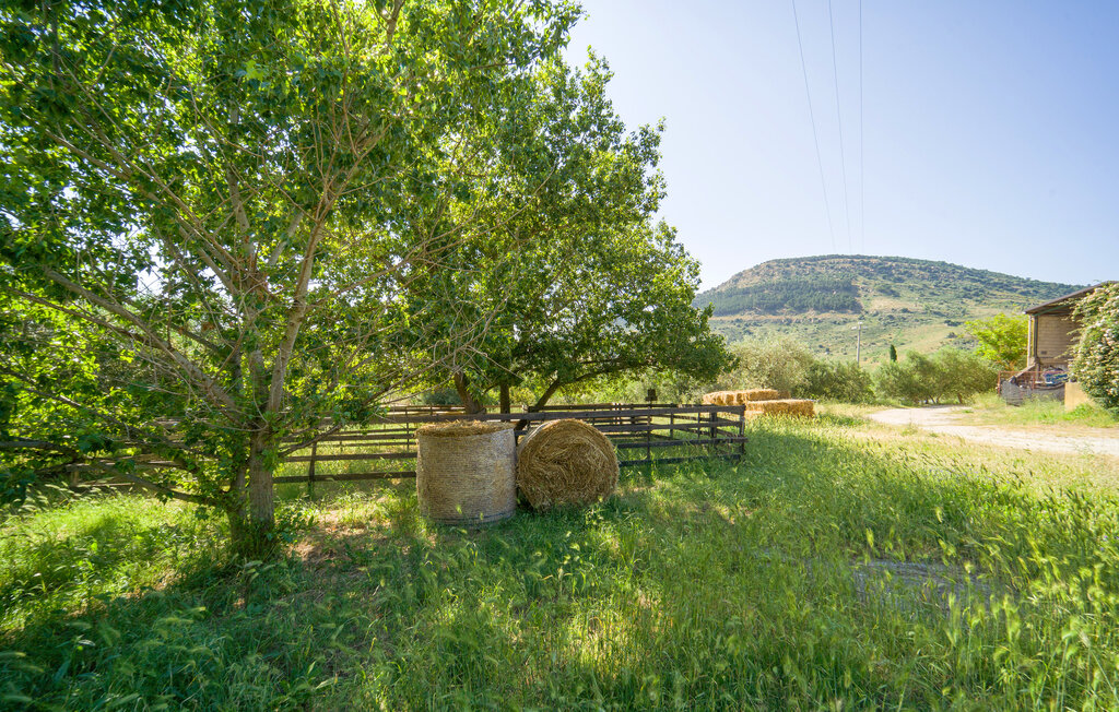 Feriehuse - Alia , Italien - ISS326 65