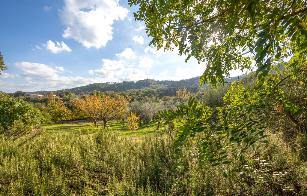 Feriehuse - Anghiari , Italien - ITA804 5
