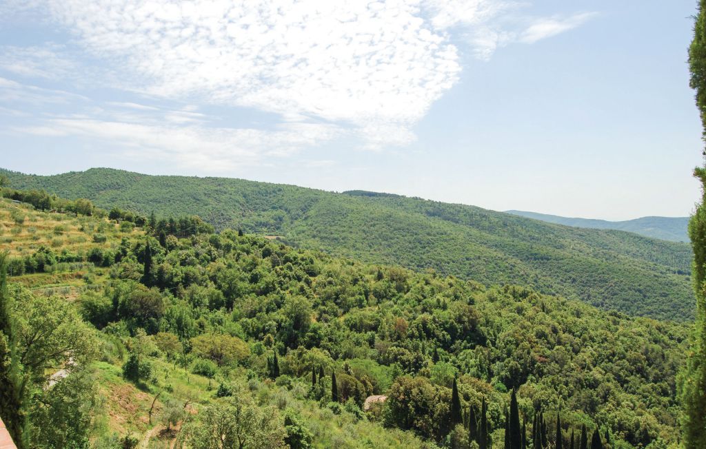 Feriehuse - Cortona , Italien - ITA834 15