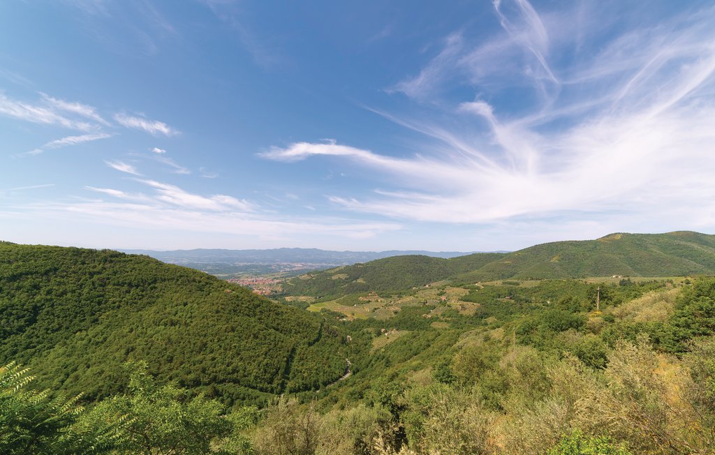 Ferienwohnung - Loro Ciuffenna , Italien - ITA793 15