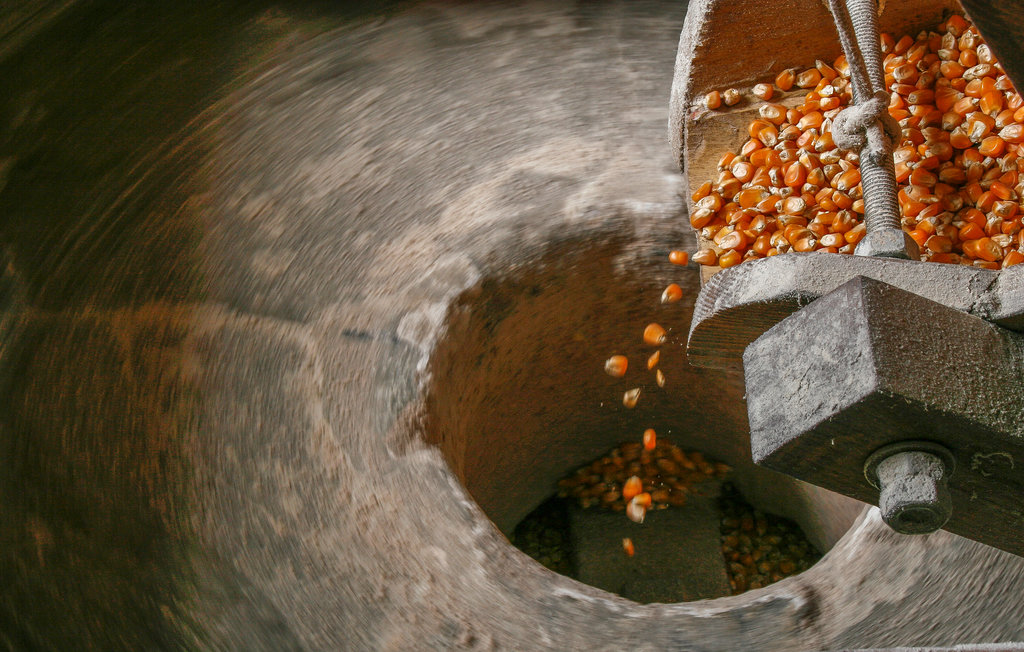 Feriehuse - Talla , Italien - ITA894 28