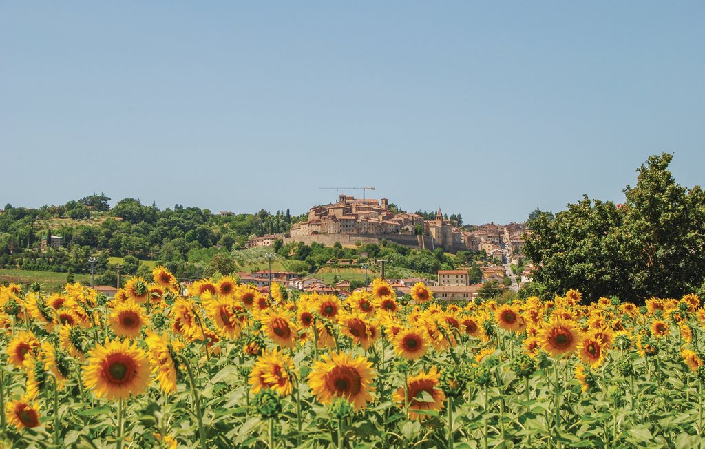 Feriehuse - Anghiari , Italien - ITA804 20