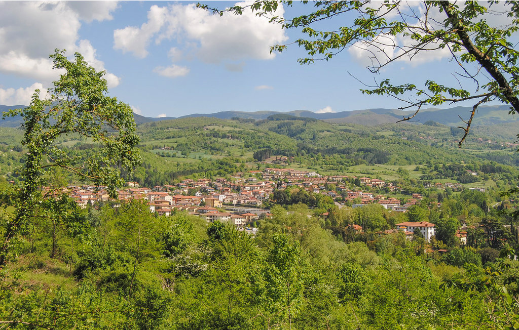 Semesterhus - Arezzo , Italien - ITA833 8