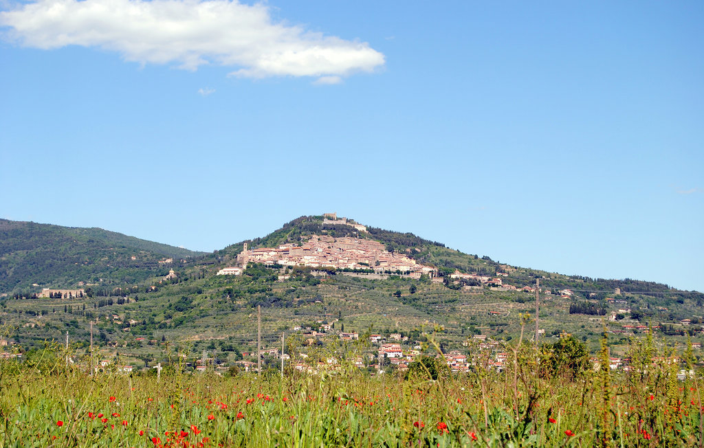 Semesterlägenhet - Cortona , Italien - ITA592 17