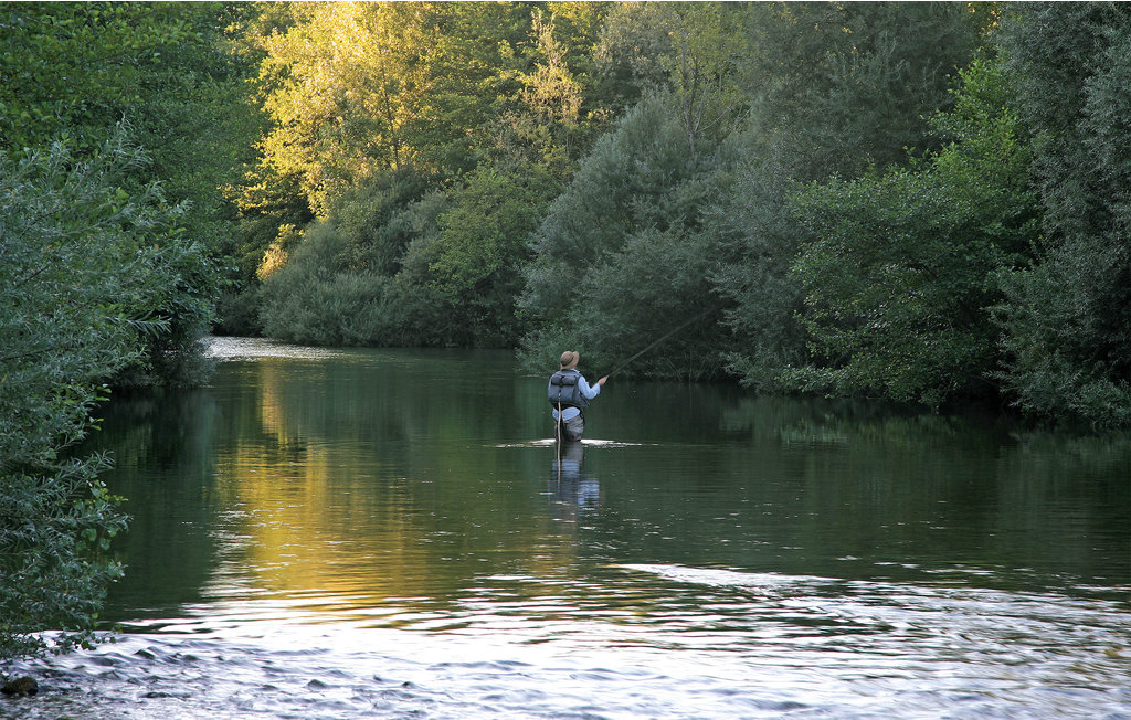 Feriehuse - Anghiari , Italien - ITA804 23