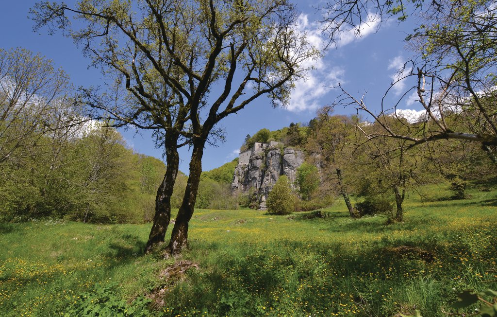 Feriehus - Castelnuovo , Italia - ITA156 29