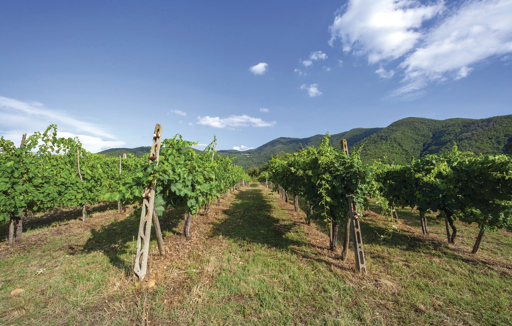 Ferieleilighet - Cortona , Italia - ITA780 31
