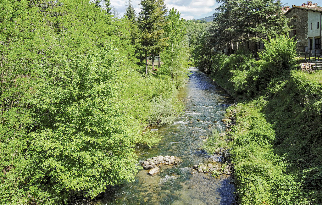 Feriehus - Pratovecchio , Italia - ITA724 30