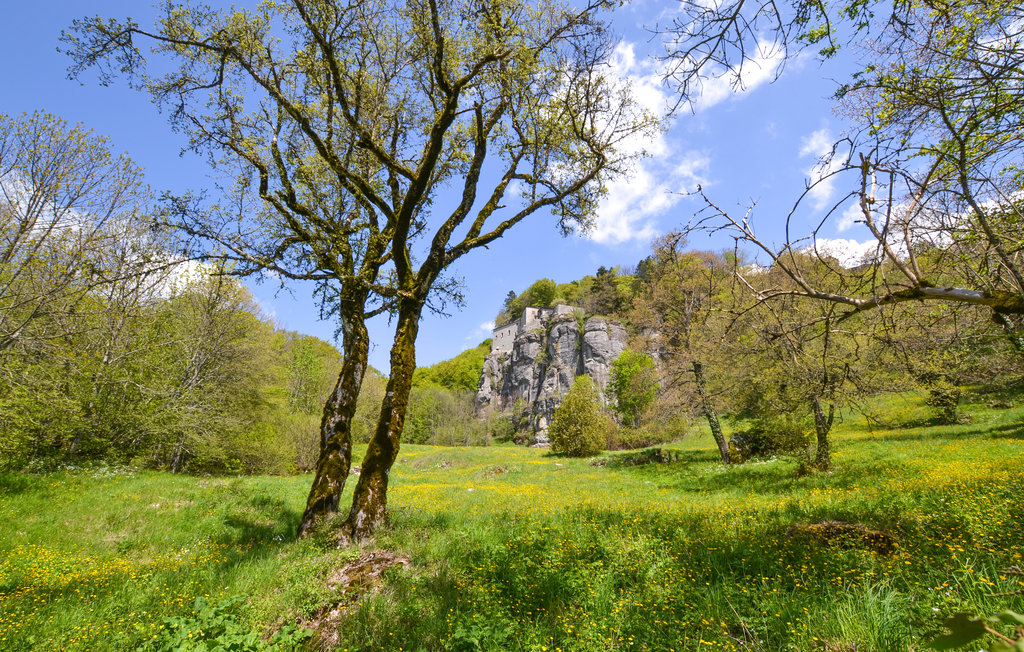Feriehuse - Arezzo , Italien - ITA517 49