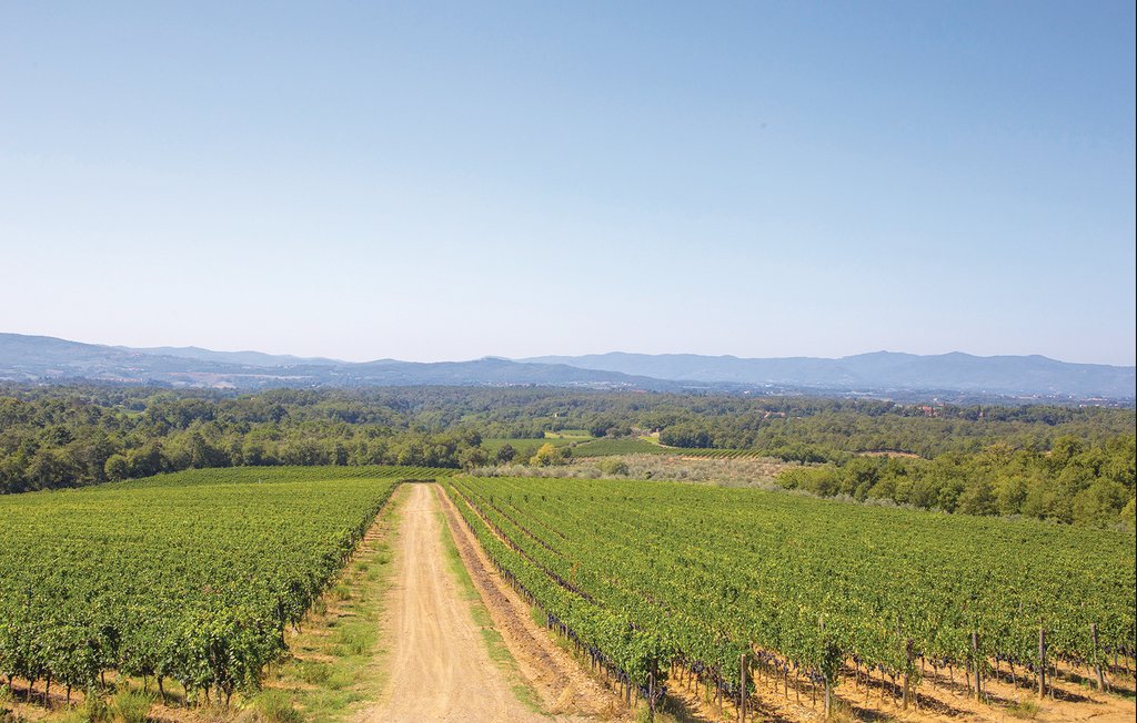 Ferienhaus - Loro Ciuffenna , Italien - ITA813 43