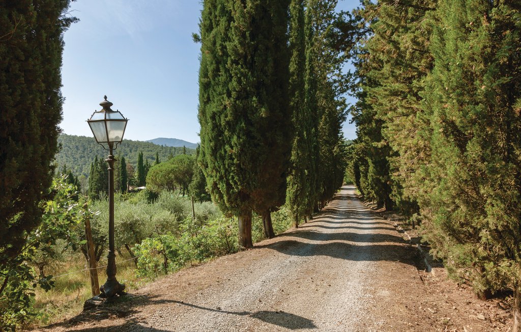 Ferieleilighet - Anghiari , Italia - ITA357 11