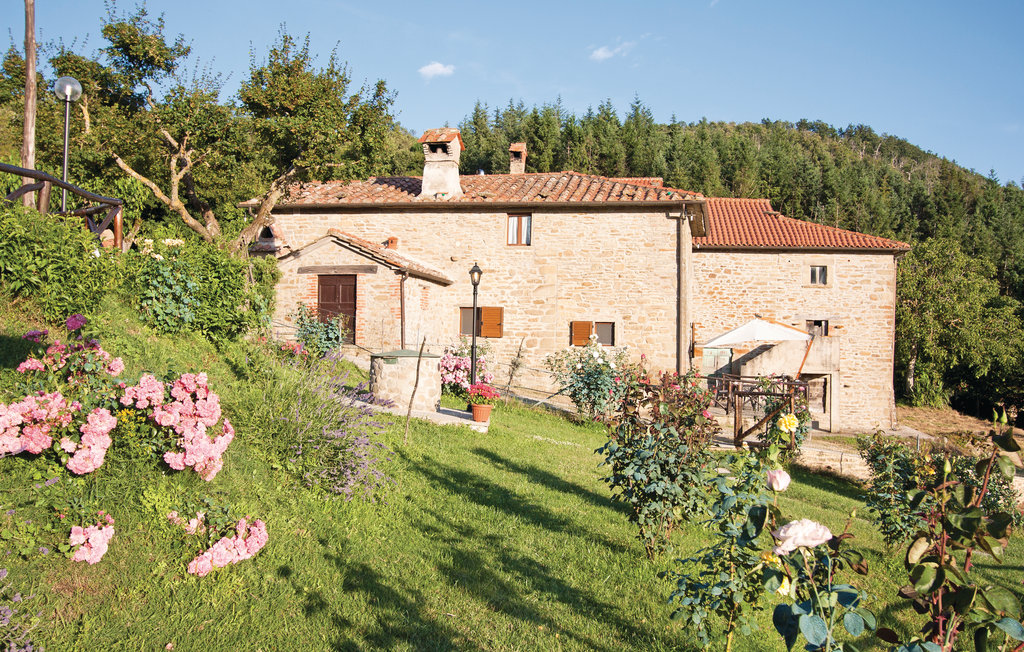 Ferienhaeuser - Cortona , Italien - ITA680 4