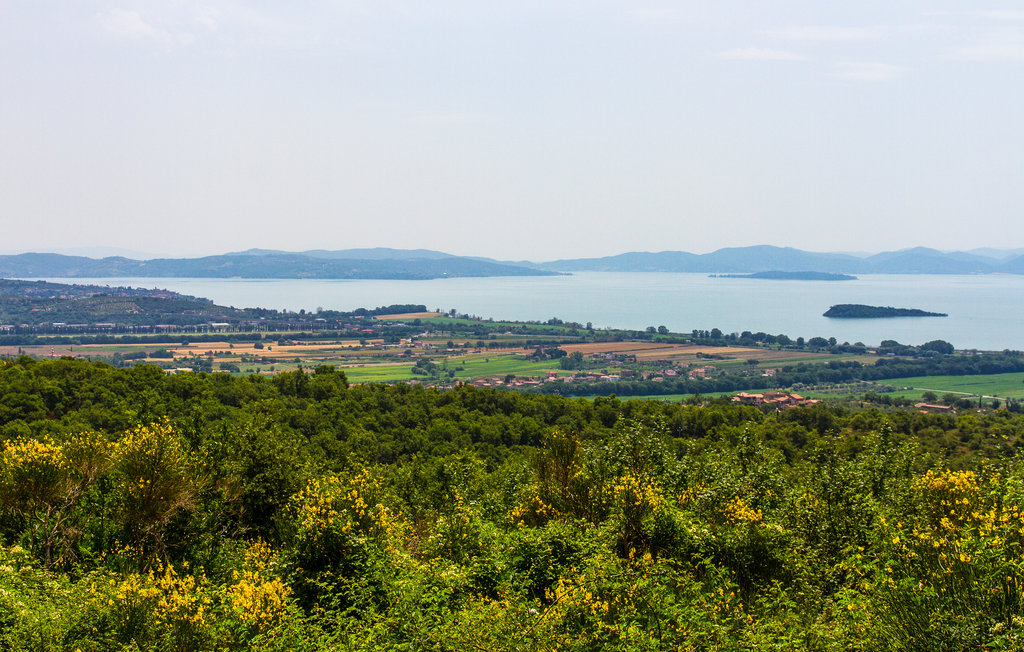 Semesterhus - Foiano della Chiana , Italien - ITA236 29