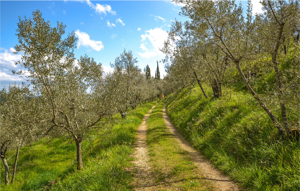 Semesterlägenhet - Castelfranco Piandiscò , Italien - ITA867 5