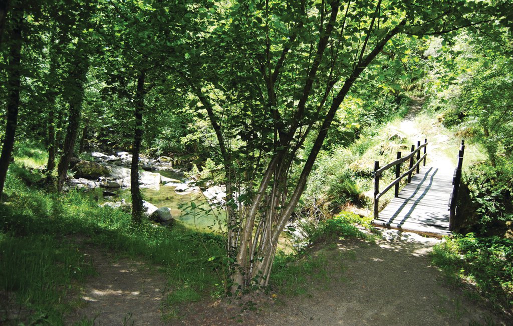 Ferienhaus - Talla , Italien - ITA899 19