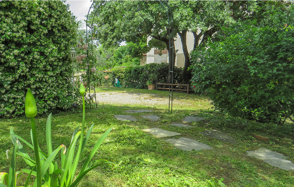 Semesterhus - Foiano della Chiana , Italien - ITA236 13