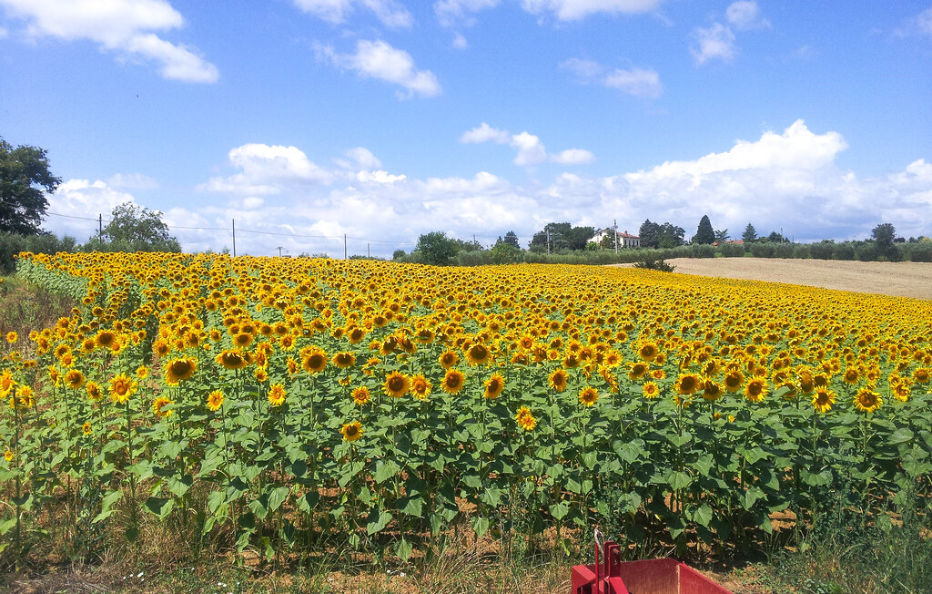Feriehus - Cortona , Italia - ITA075 60