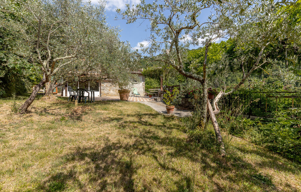 Semesterlägenhet - Castelfranco Piandiscò , Italien - ITA867 12