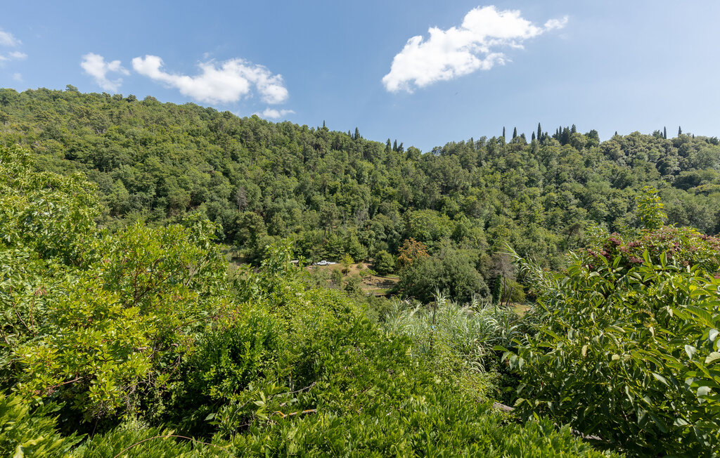 Semesterlägenhet - Castelfranco Piandiscò , Italien - ITA867 15
