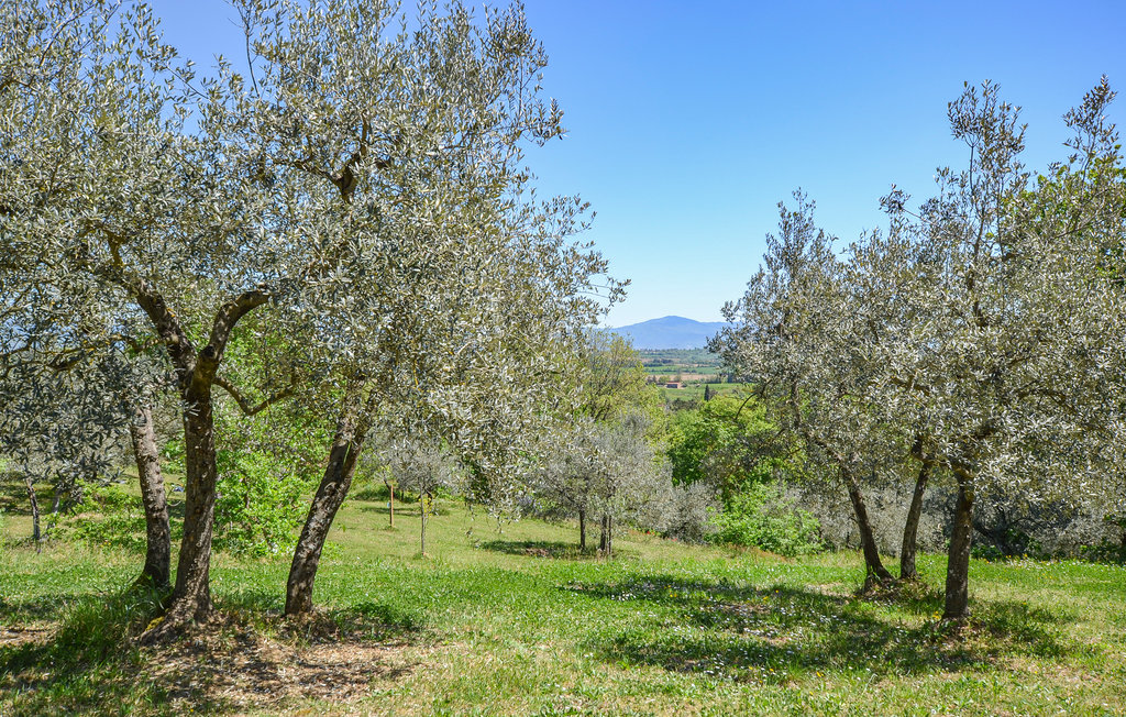 Vakantiehuis Monte San Savino (ITA084)