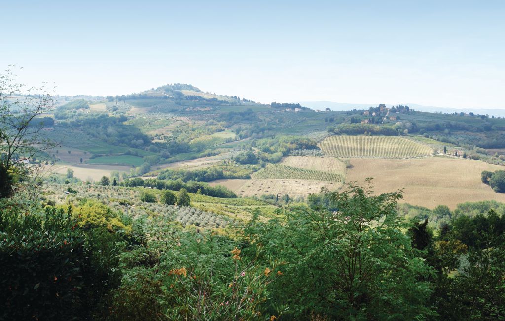 Ferienhaus - Montespertoli , Italien - ITC253 20